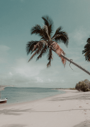 Parce que chaque moment compte